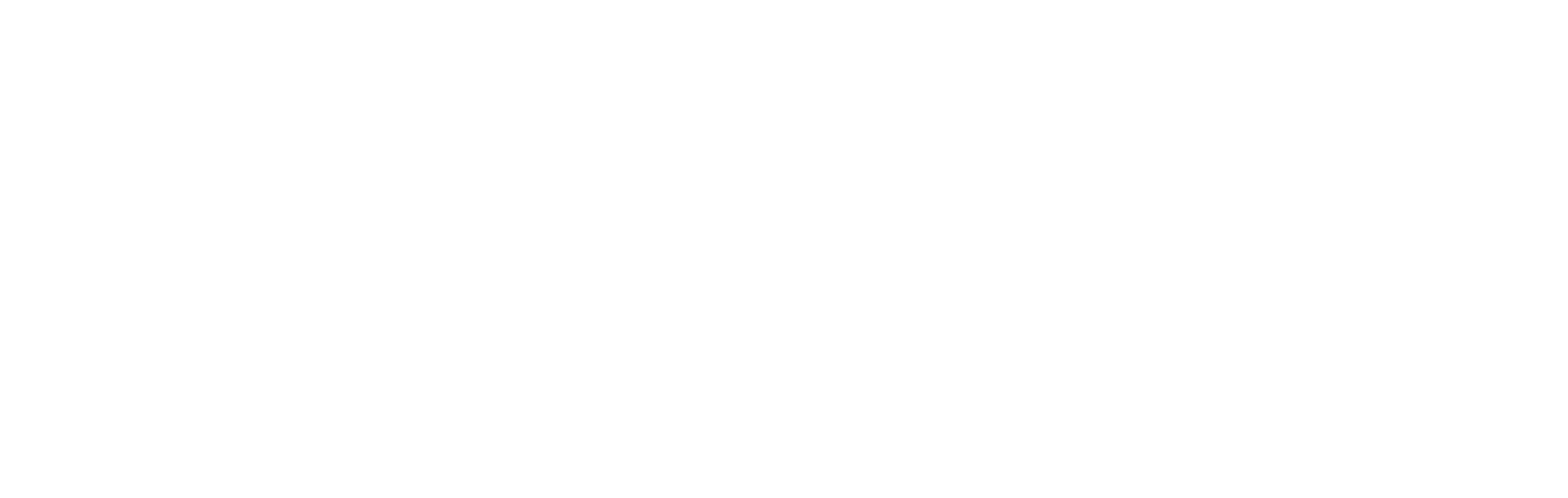 THE ORGANIZER